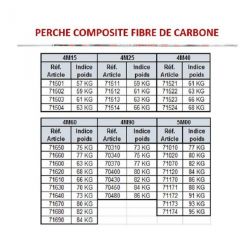 PERCHE PACER COMPOSITE FIBRE DE CARBONE DE 4M15 à 5M00