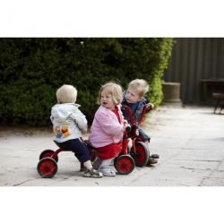 PUSH BIKE FOR TWO 1-3 YEARS