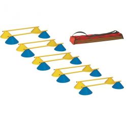 HAIE MULTIFONCTION SOUCOUPES LOT DE 10