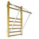 PULL-UP BAR FOR WALL BARS