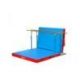 FREE-STANDING PARALLEL BARS <br />WITH ROLLERS AND MATTRESS