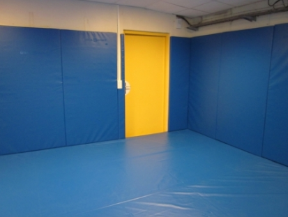 Protection murale bleue salle judo