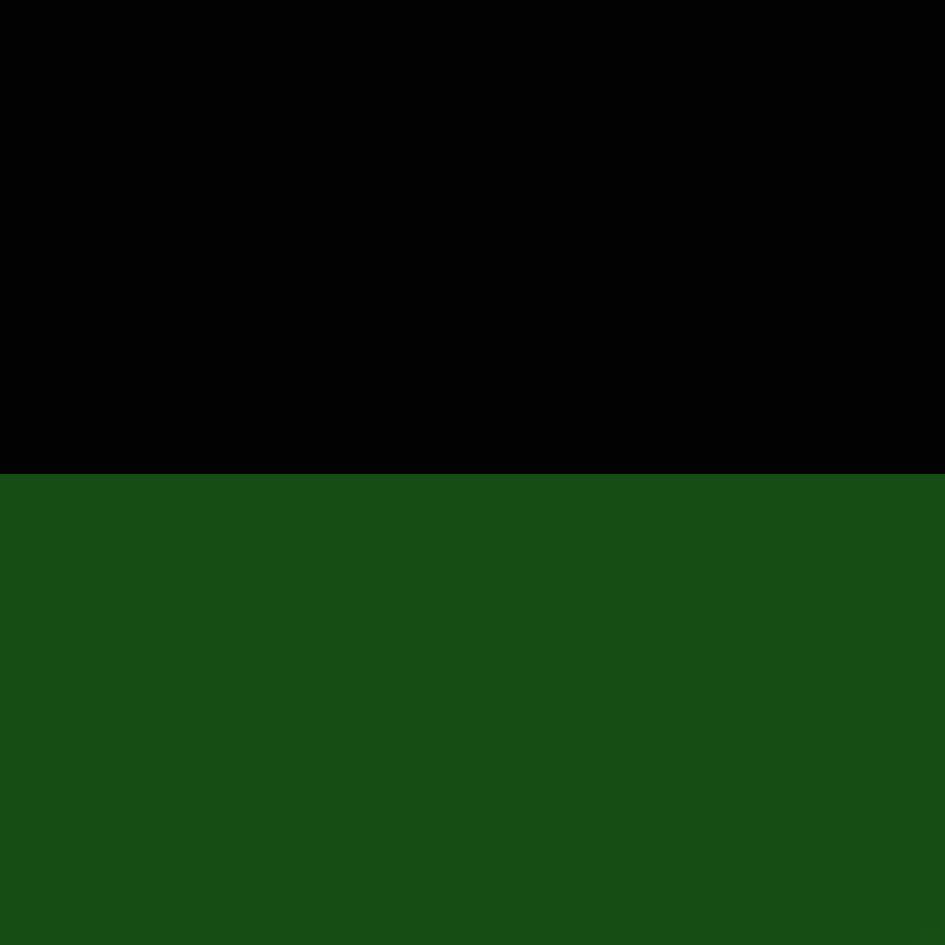 BLACK AND GREEN